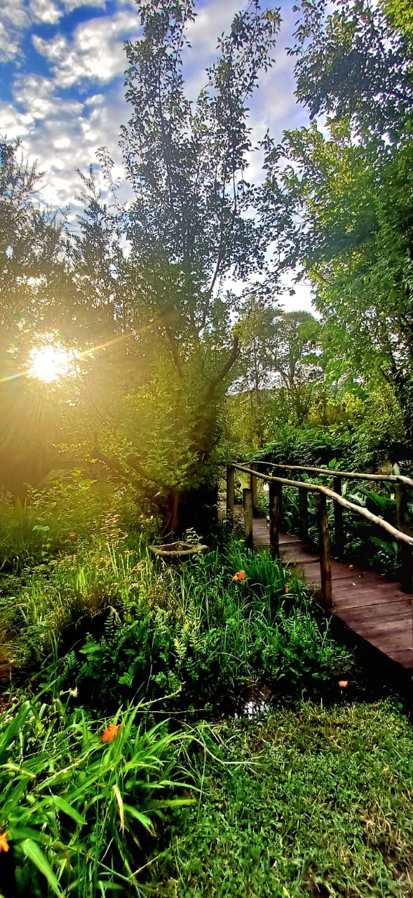 Garden bridge at Deo Volente