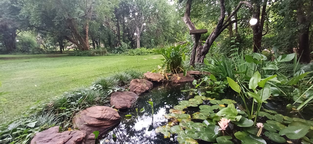 Water lilies and garden pond at Deo Volente